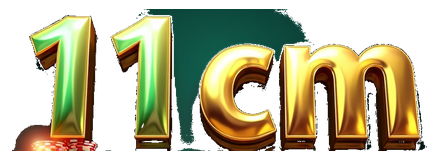 11 cm